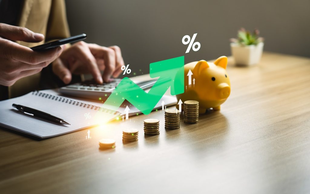 economii si investitii