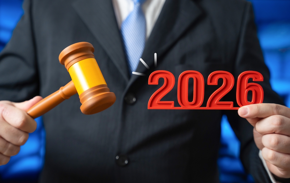 optimizari fiscale pfa srl 2026